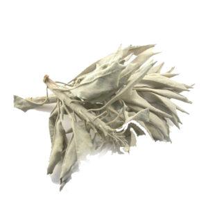 Encens Traditionnel Sauge Blanche (Pochon 22g)