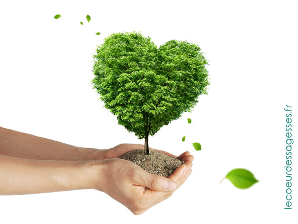 Don Le coeur des sagesses 1