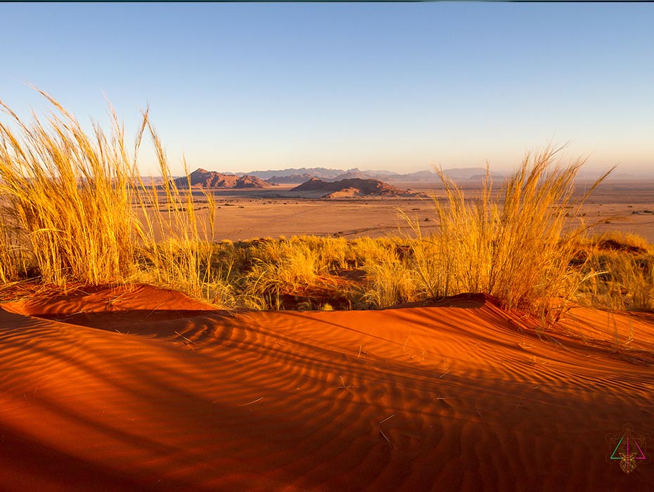 A l'aube d'un autre Namib - Christophe Palette - Le coeur des Sagesses