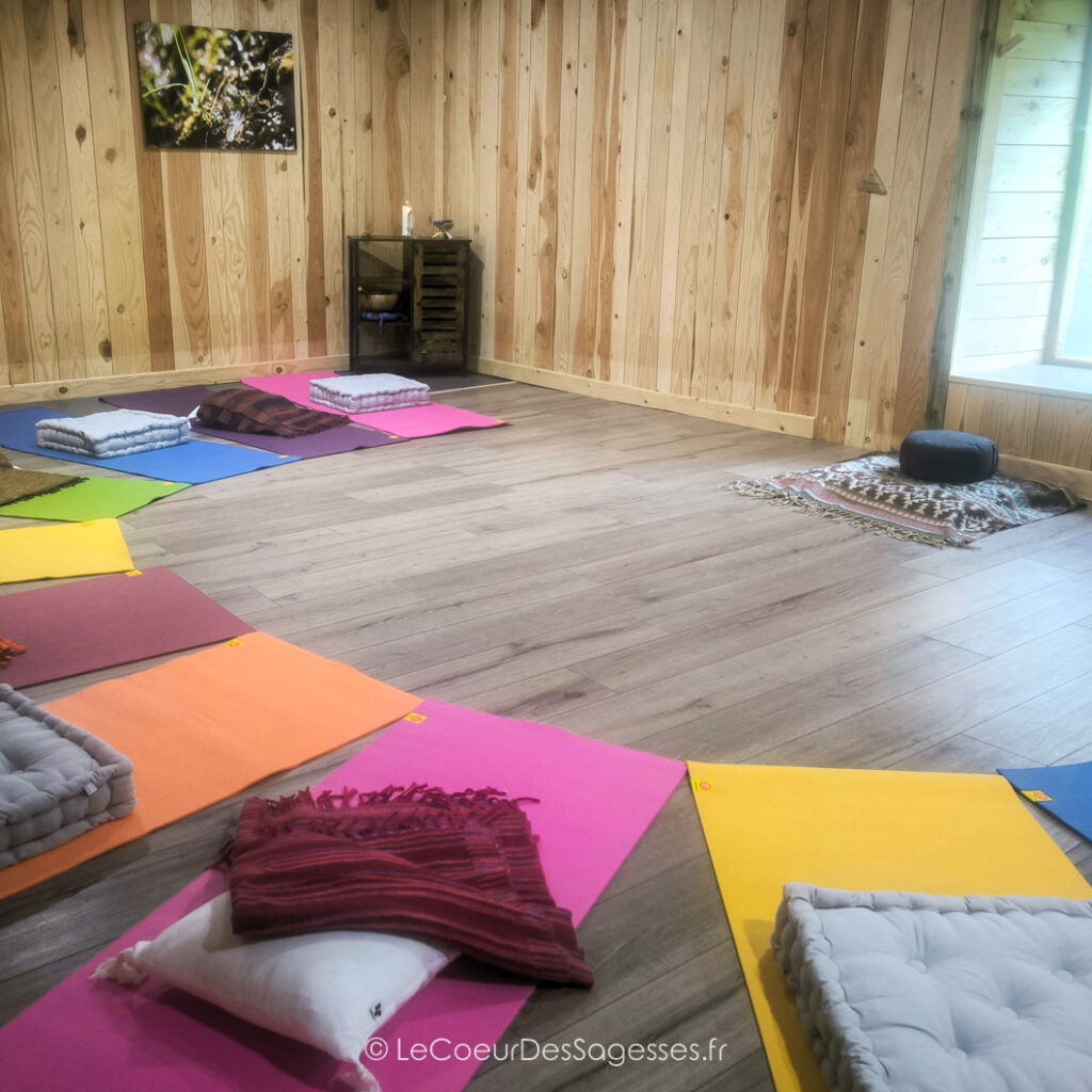 La Salle du Pas Sage 1 - Le Coeur des Sagesses- Le Coeur des Sagesses