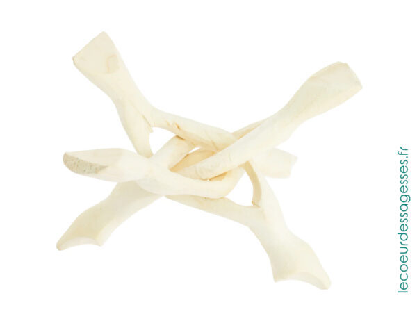 Support Coquille Ormeau - Le coeur des sagesses