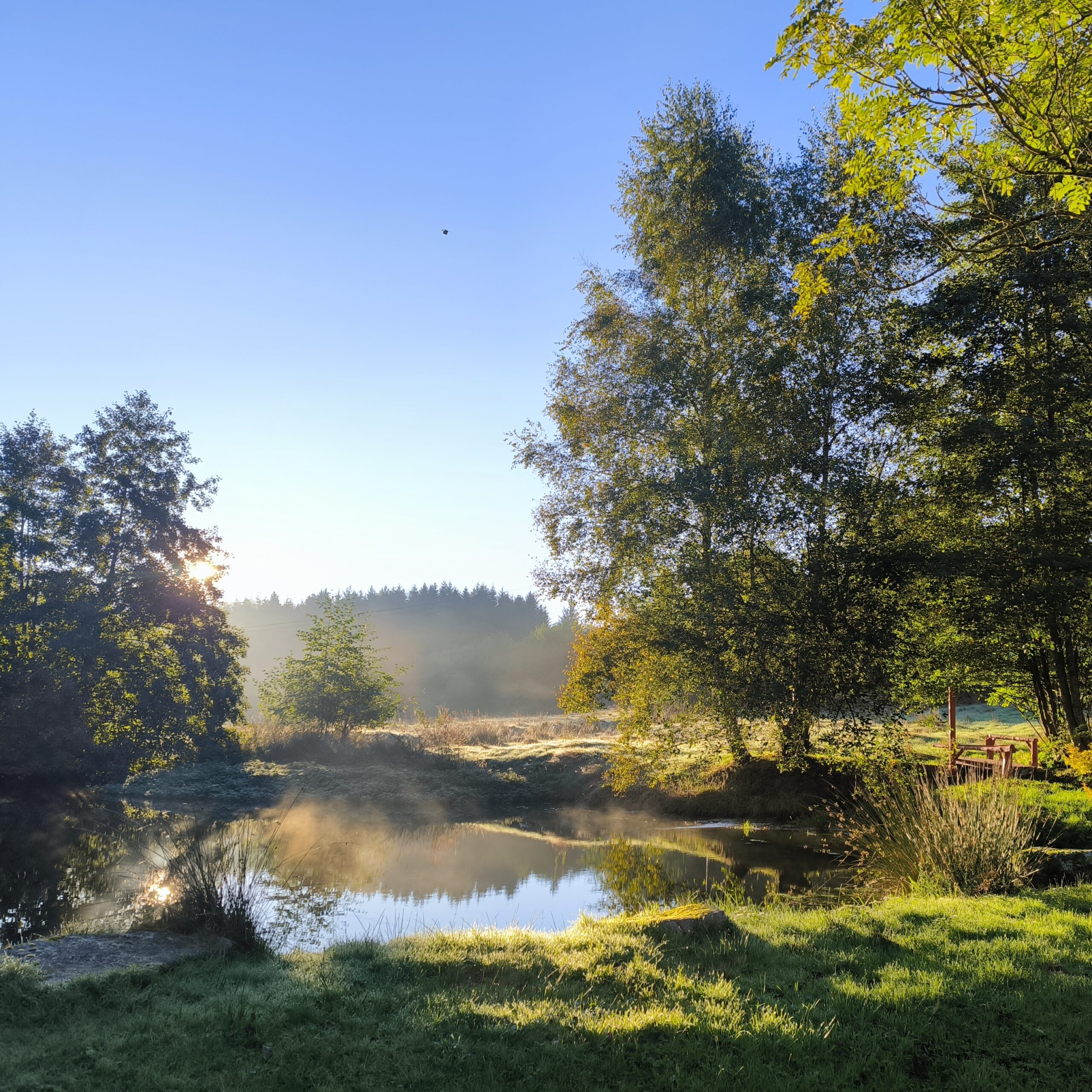 Etang Naturel Le Coeur des Sagesses