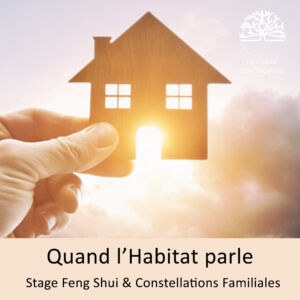 Stage Feng Shui et Constellation Familiale - Guillaume Rey