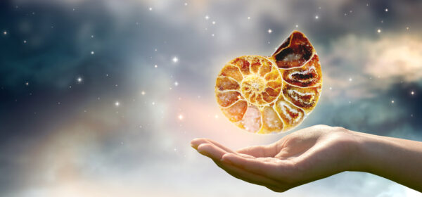 Catégorie Coffret Cadeaux