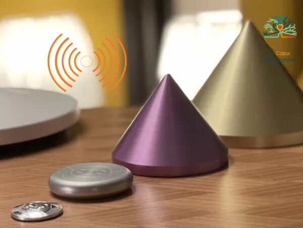 Protection ondes électromagnétiques CMO Le coeur des sagesses