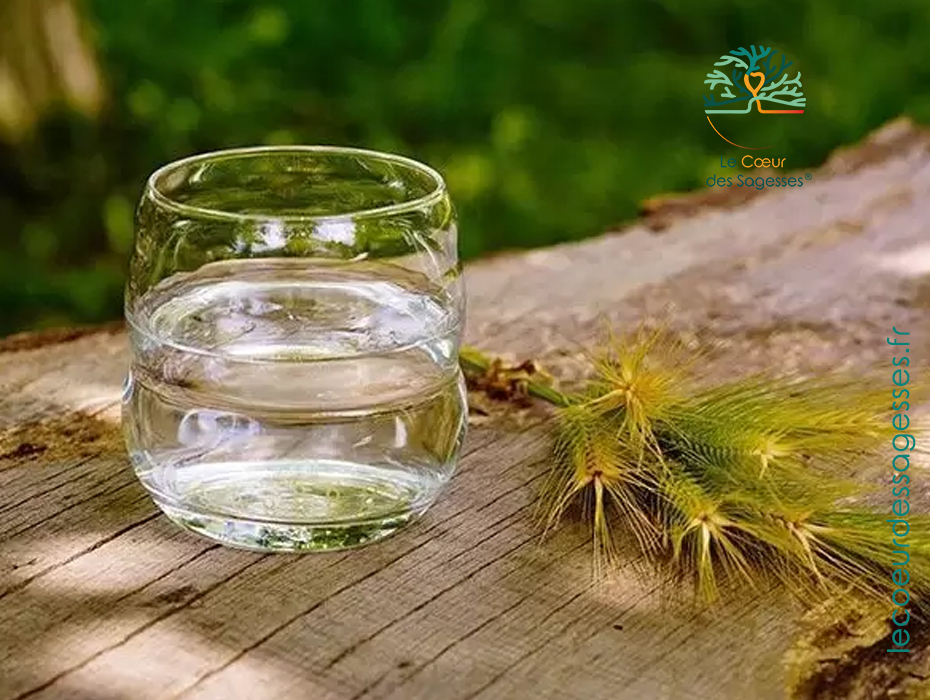 Verre Mythos Fleur de Vie 250 ml – cristal et énergie harmonisée