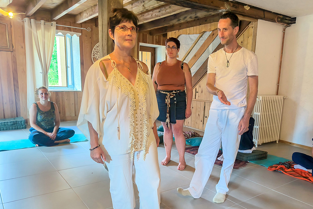 Formation Constellation Familiale Guillaume Rey V2
